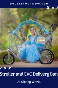 Stroller and EVC Delivery Ban at Disney World