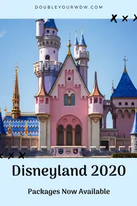 Disneyland Packages Available Now