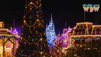 NEW Disney World & Disney Cruise Discounts Exclusively for Disney+ Subscribers