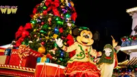 Mickey's Very Merry Christmas Party 2022 in Photos
