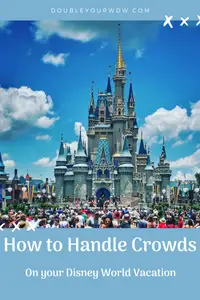 How to Handle Crowds at Disney
