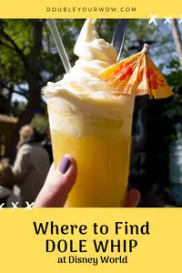 Where to Find Dole Whip at Disney World