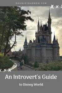 Disney World for Introverts